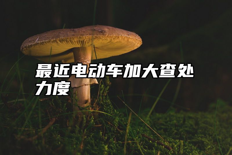 最近电动车加大查处力度