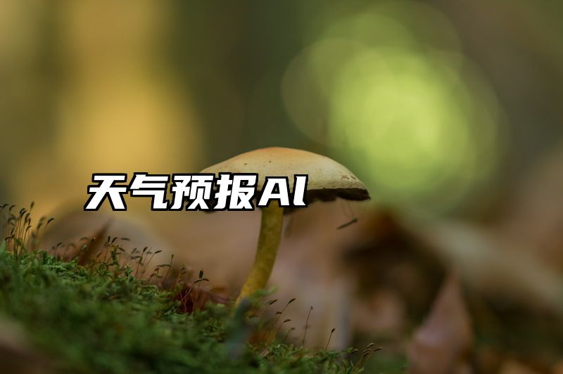 天气预报Al