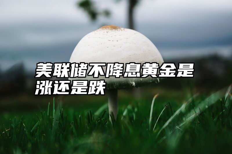 美联储不降息黄金是涨还是跌