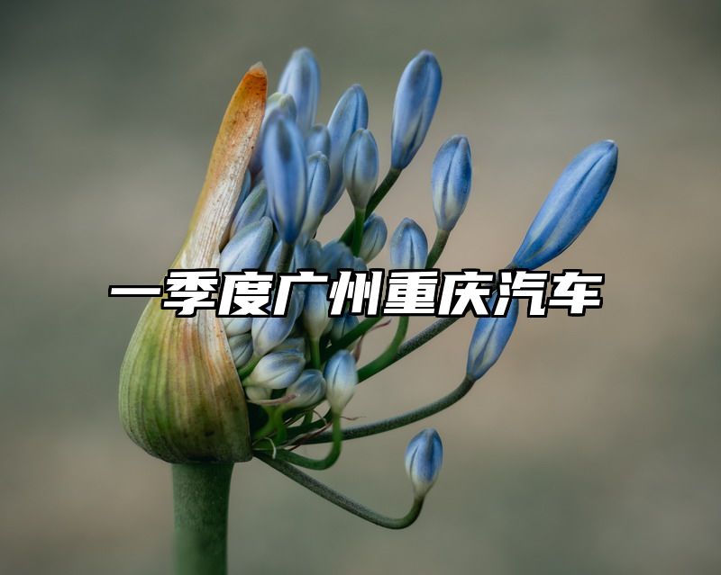 一季度广州重庆汽车