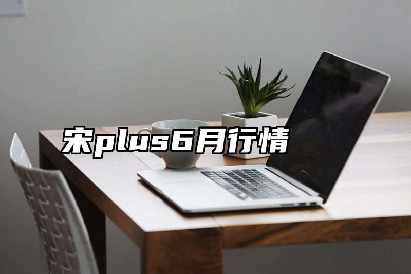 宋plus6月行情