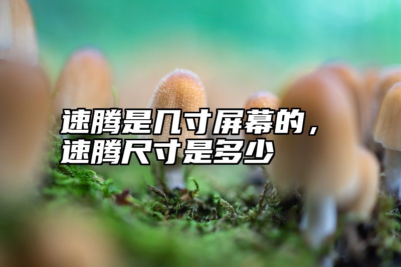 速腾是几寸屏幕的，速腾尺寸是多少