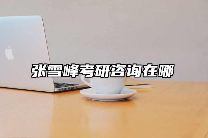 张雪峰考研咨询在哪