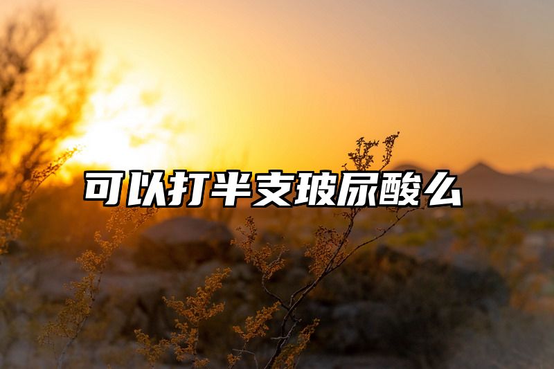 可以打半支玻尿酸么