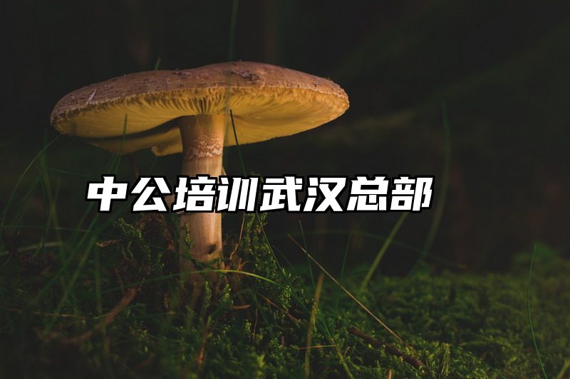 中公培训武汉总部