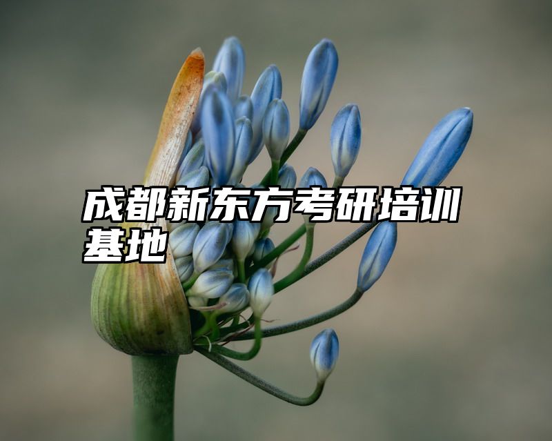 成都新东方考研培训基地