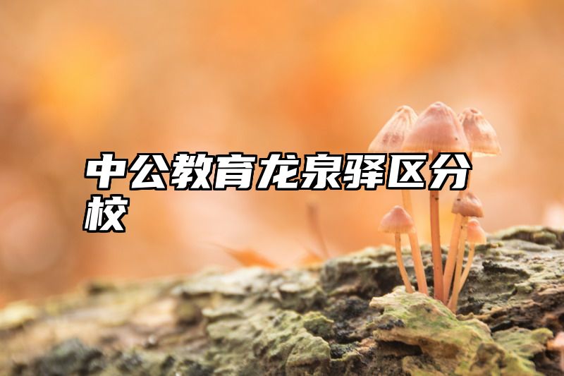 中公教育龙泉驿区分校