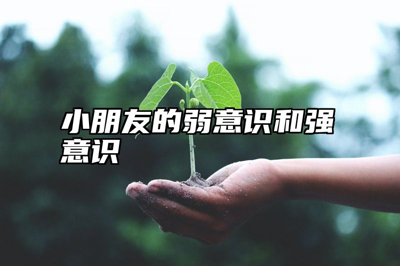 小朋友的弱意识和强意识