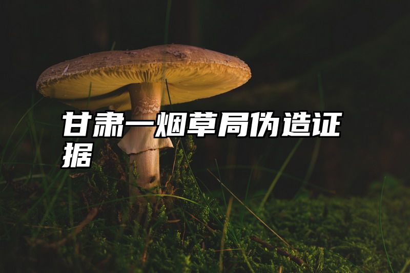甘肃一烟草局伪造证据