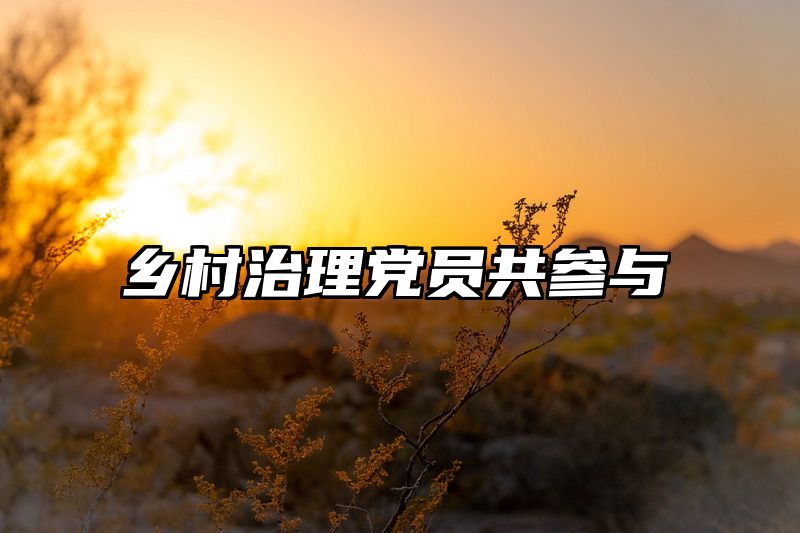 乡村治理党员共参与