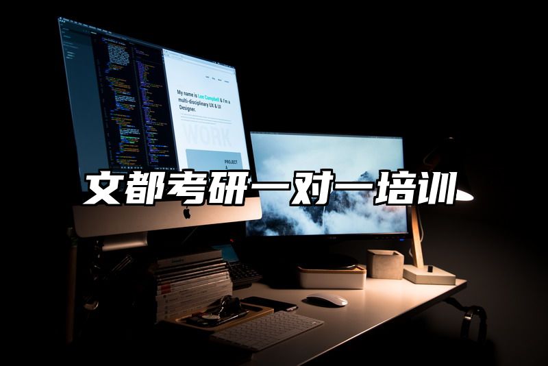 文都考研一对一培训
