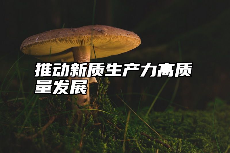 推动新质生产力高质量发展