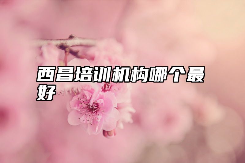 西昌培训机构哪个最好