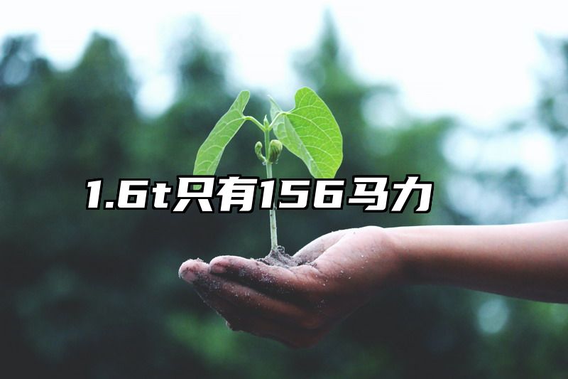 1.6t只有156马力