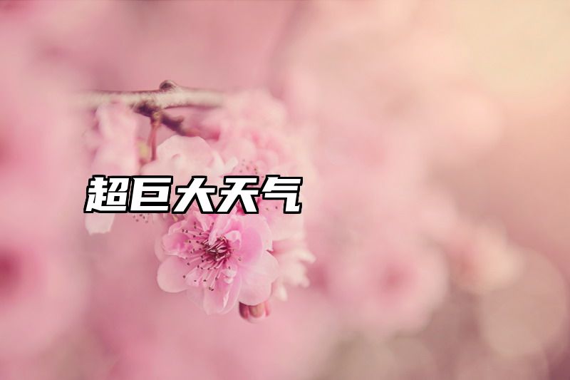超巨大天气