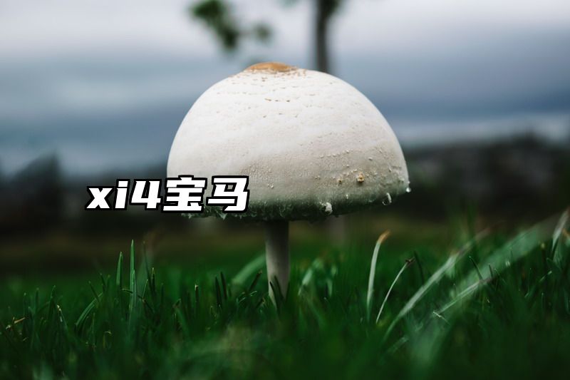 xi4宝马
