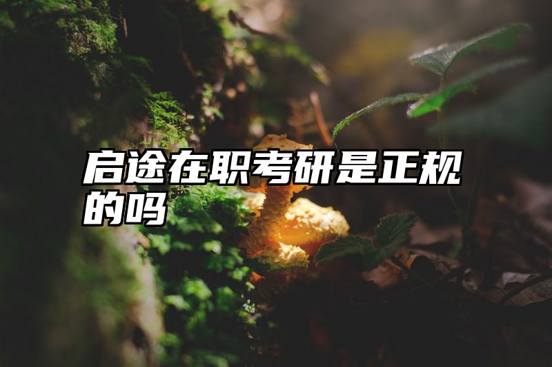 启途在职考研是正规的吗