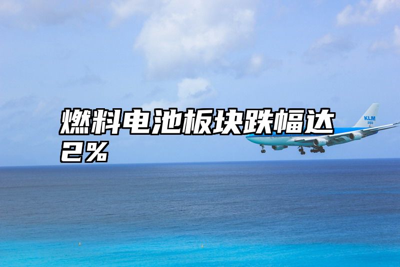 燃料电池板块跌幅达2%