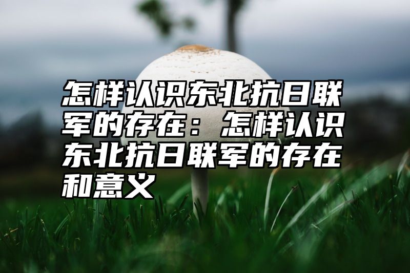 怎样认识东北抗日联军的存在：怎样认识东北抗日联军的存在和意义
