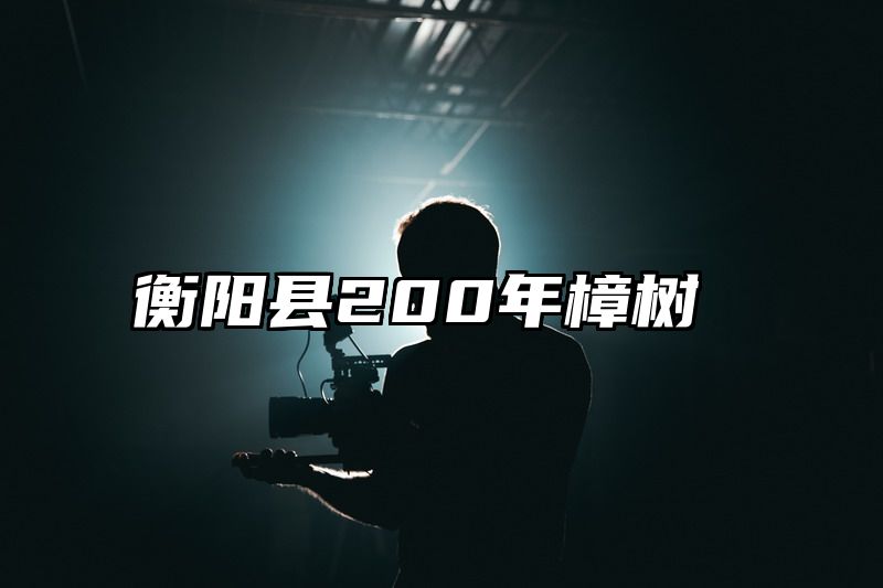 衡阳县200年樟树