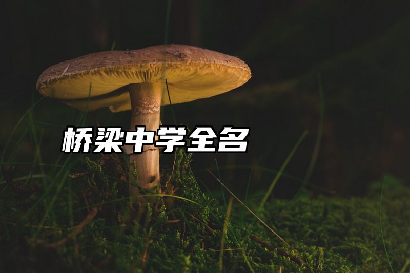 桥梁中学全名