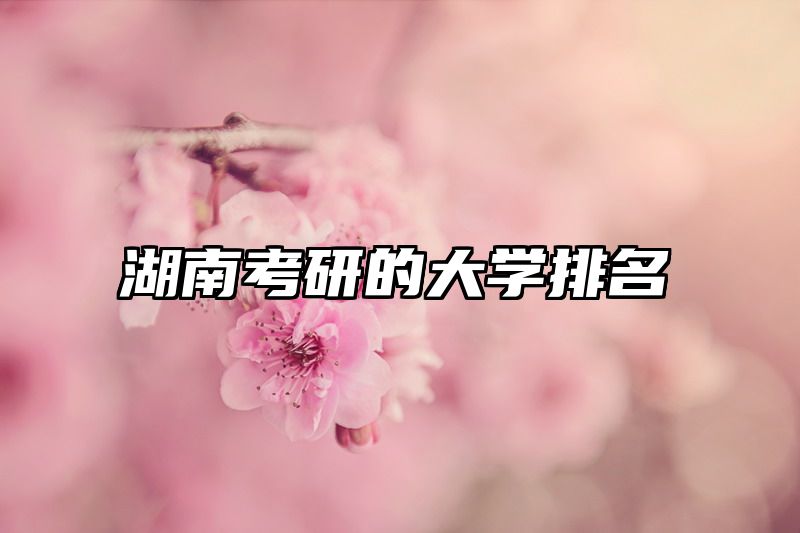 湖南考研的大学排名