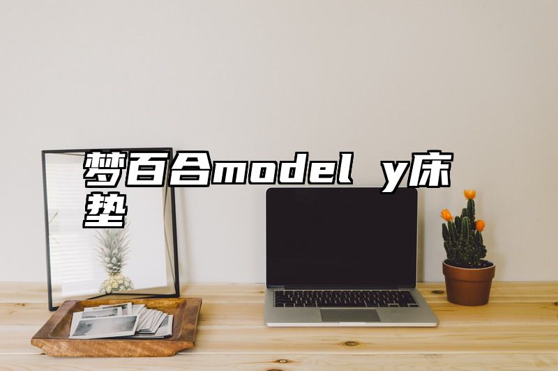 梦百合model y床垫
