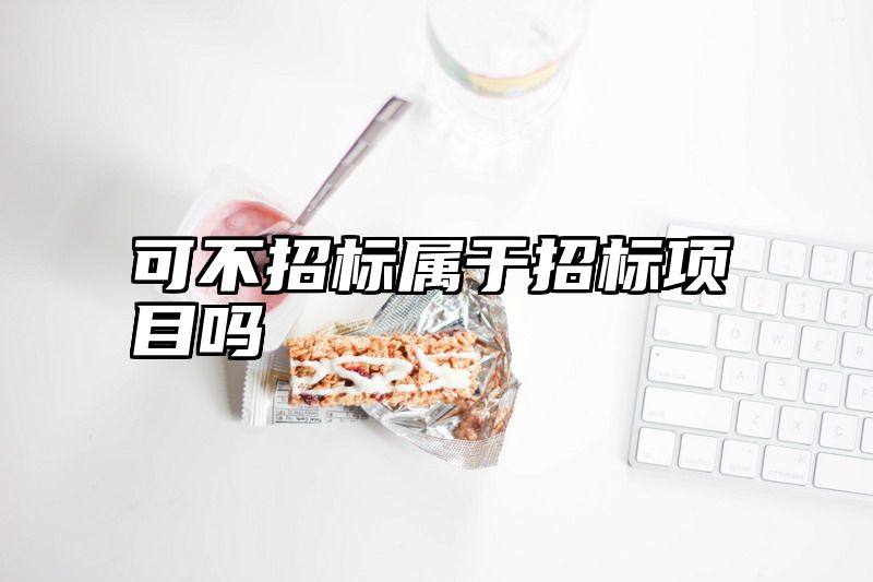 可不招标属于招标项目吗