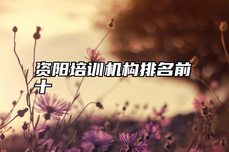 资阳培训机构排名前十