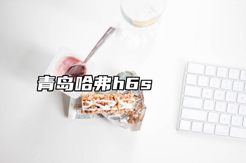 青岛哈弗h6s
