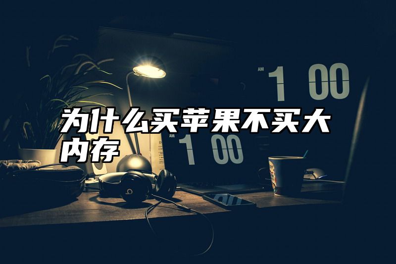 为什么买苹果不买大内存