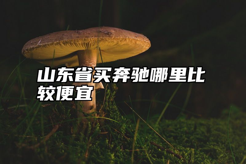 山东省买奔驰哪里比较便宜