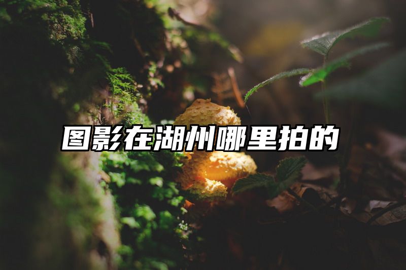 图影在湖州哪里拍的