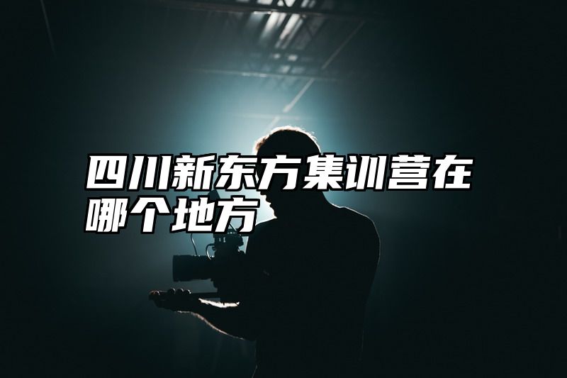 四川新东方集训营在哪个地方