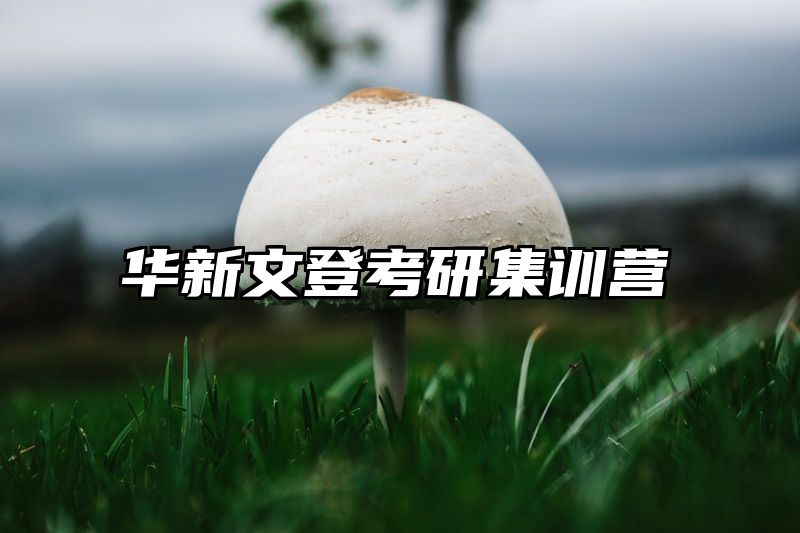 华新文登考研集训营