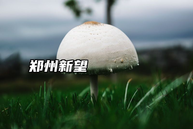 郑州新望