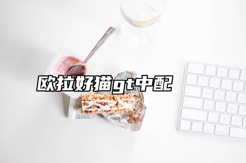 欧拉好猫gt中配