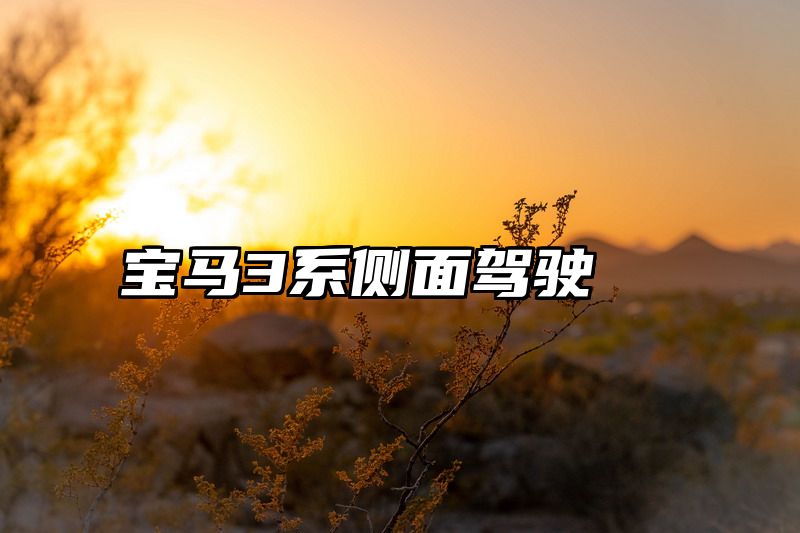 宝马3系侧面驾驶