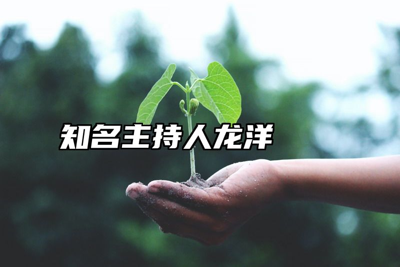 知名主持人龙洋