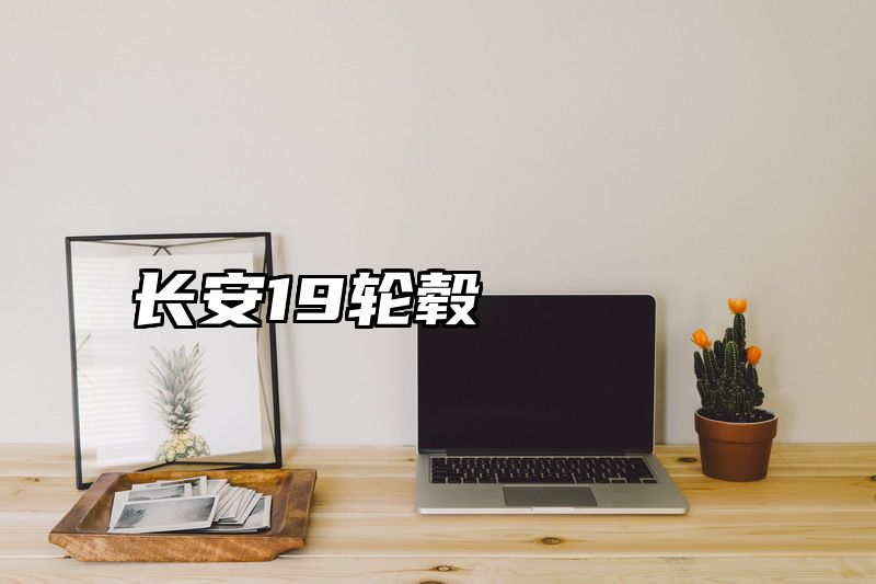 长安19轮毂
