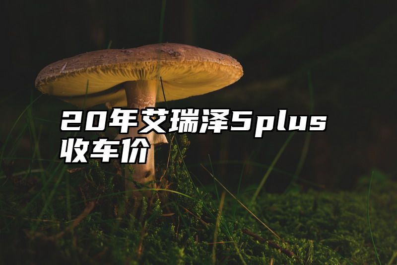 20年艾瑞泽5plus收车价