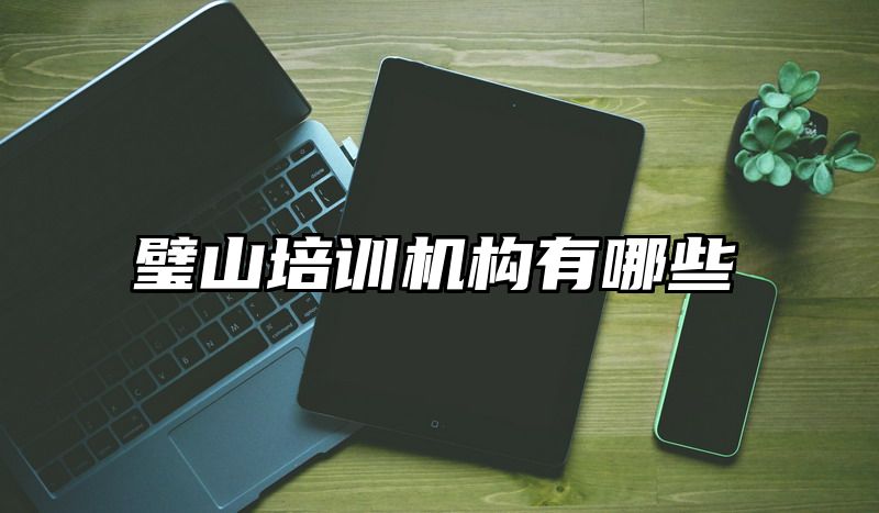 璧山培训机构有哪些