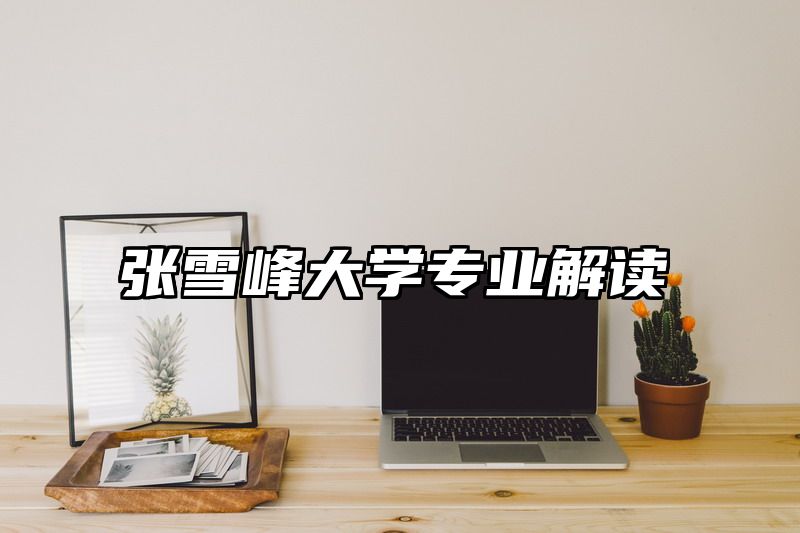 张雪峰大学专业解读