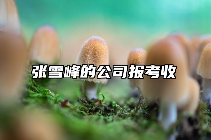 张雪峰的公司报考收