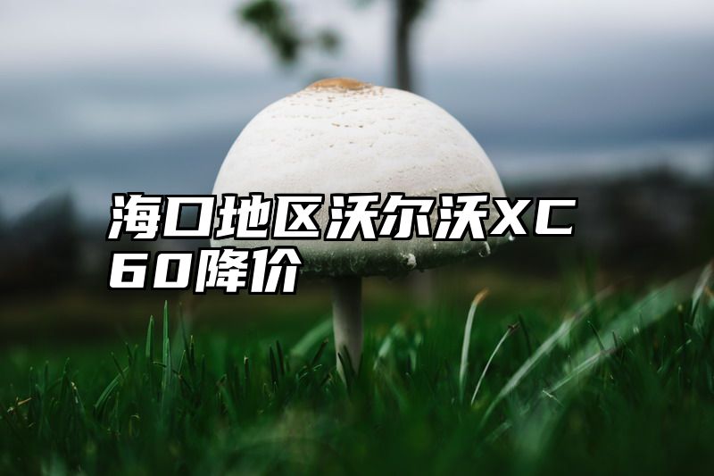 海口地区沃尔沃XC60降价
