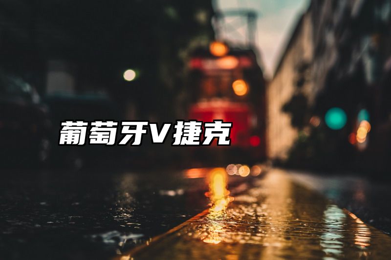 葡萄牙V捷克