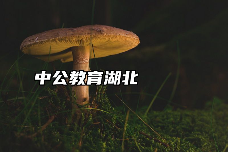 中公教育湖北