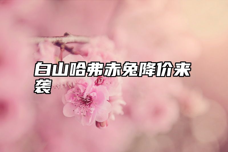 白山哈弗赤兔降价来袭