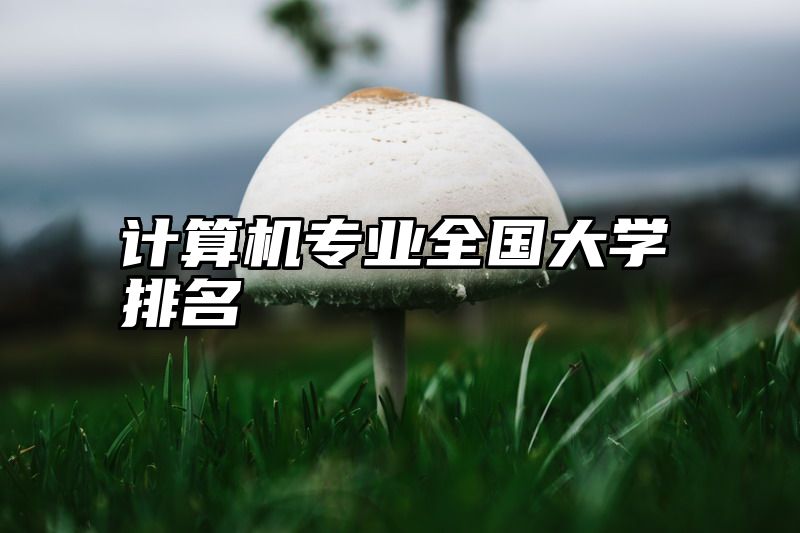 计算机专业全国大学排名