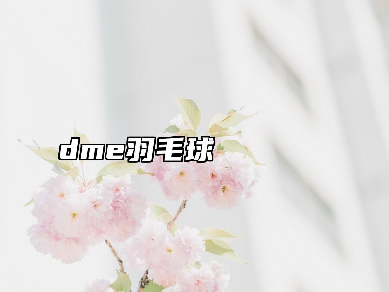dme羽毛球
